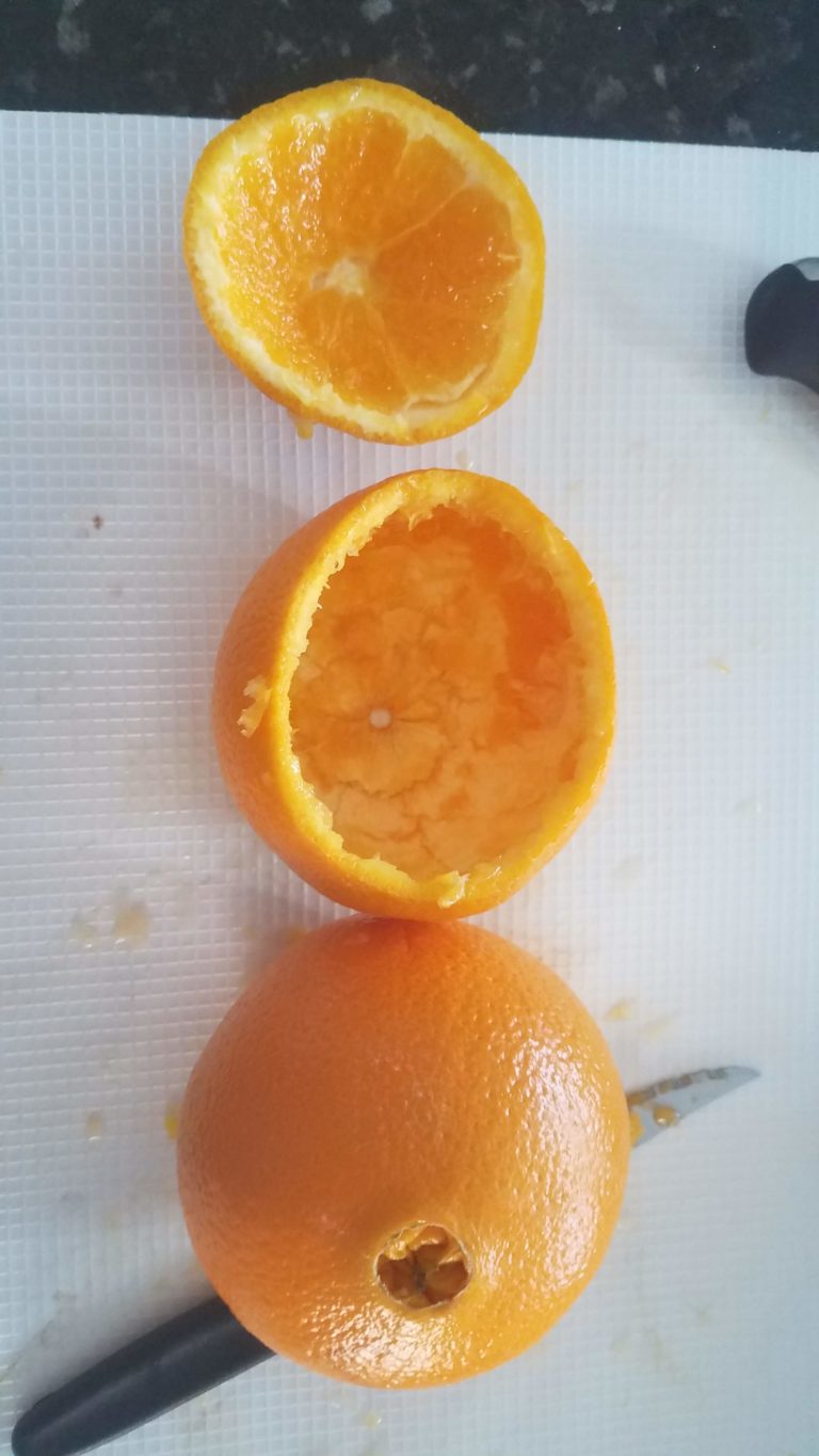 hollowed out oranges